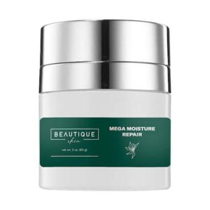 Mega Moisture Repair